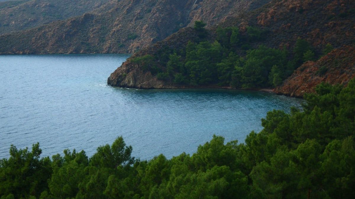Calm blue water meets forested rocky coastline